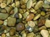 golden-gravel-10mm-or-20mm